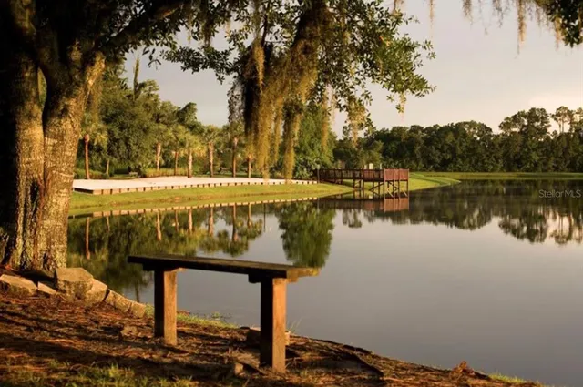 a view of a swimming pool with a lawn chairs and palm trees