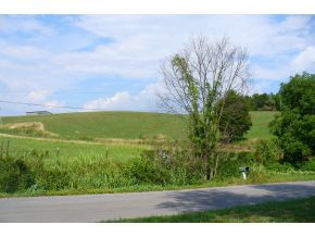 1875 Garrett Hill Road Greeneville, TN 37743 - Photo 12 of 12 across the street