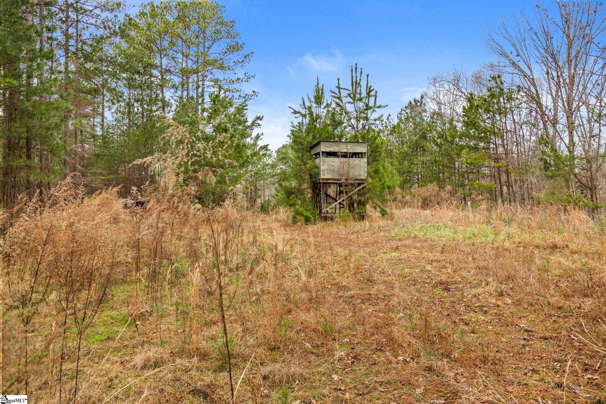 839 Duncan Creek Church Road Clinton, SC 29325 - Photo 46 of 50