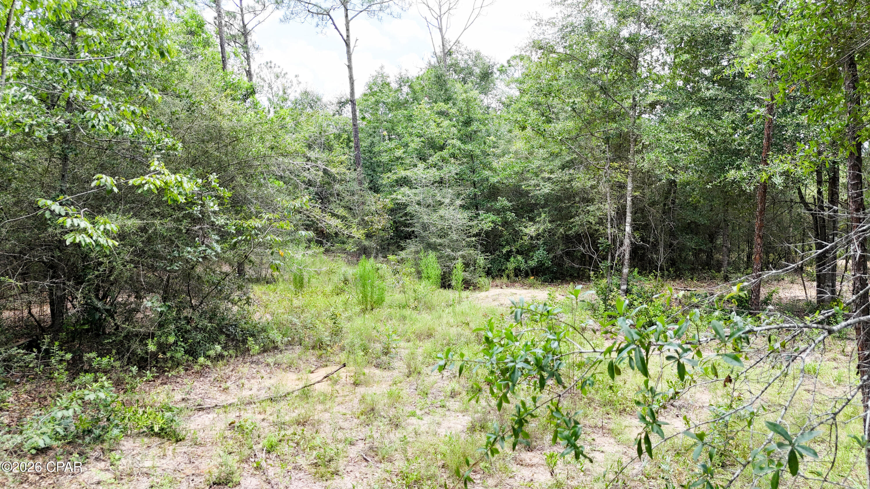 20429 Fettinger Road Fountain, FL 32438 - Photo 4 of 23 Gallery Image 4
