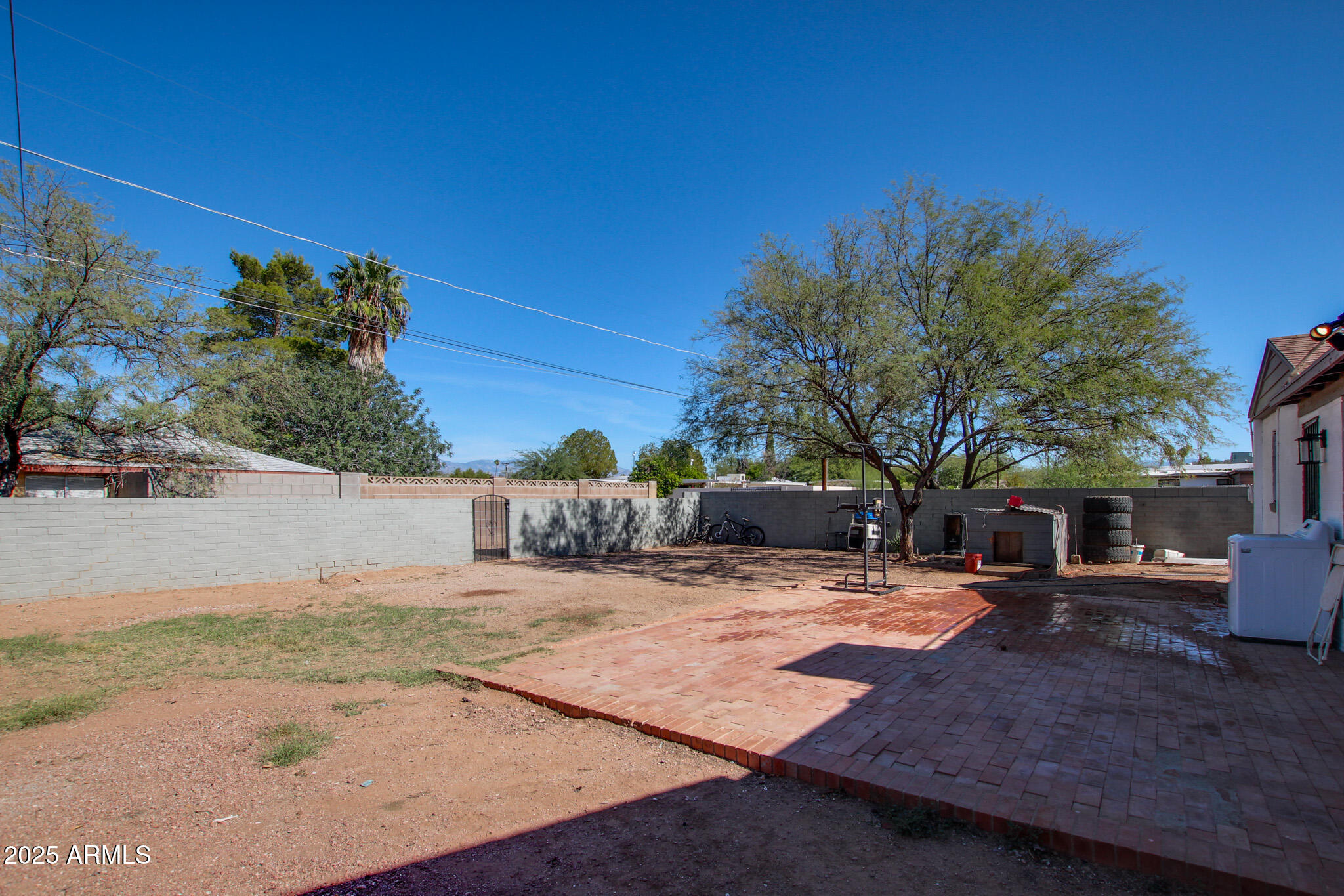 3273 East 27th Street Tucson, AZ 85713 - Photo 32 of 39 a view of a yard with plants and trees