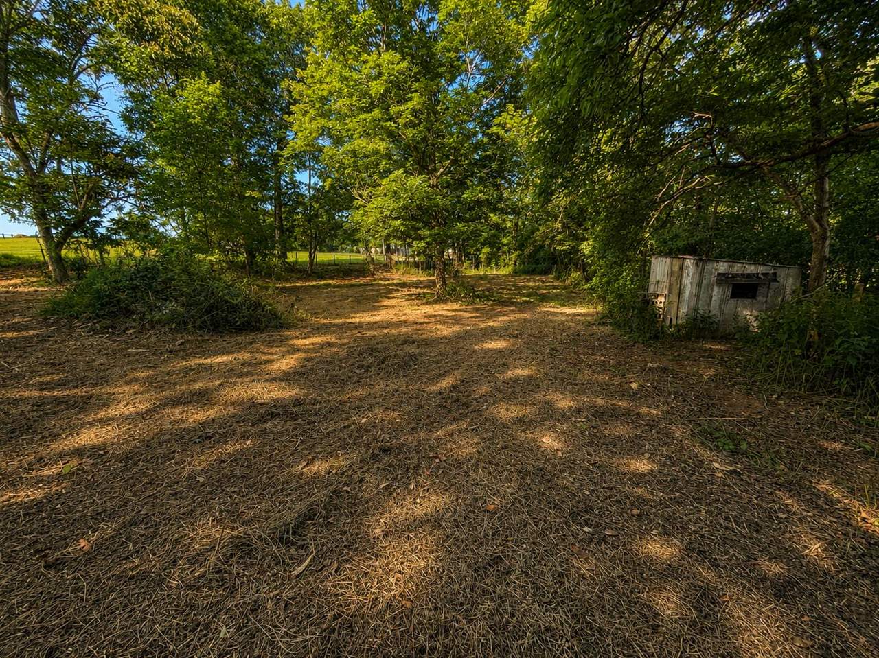 5840 Randolph Goodluck Road Summer Shade, KY 42166 - Photo 12 of 13 Gallery Image 12