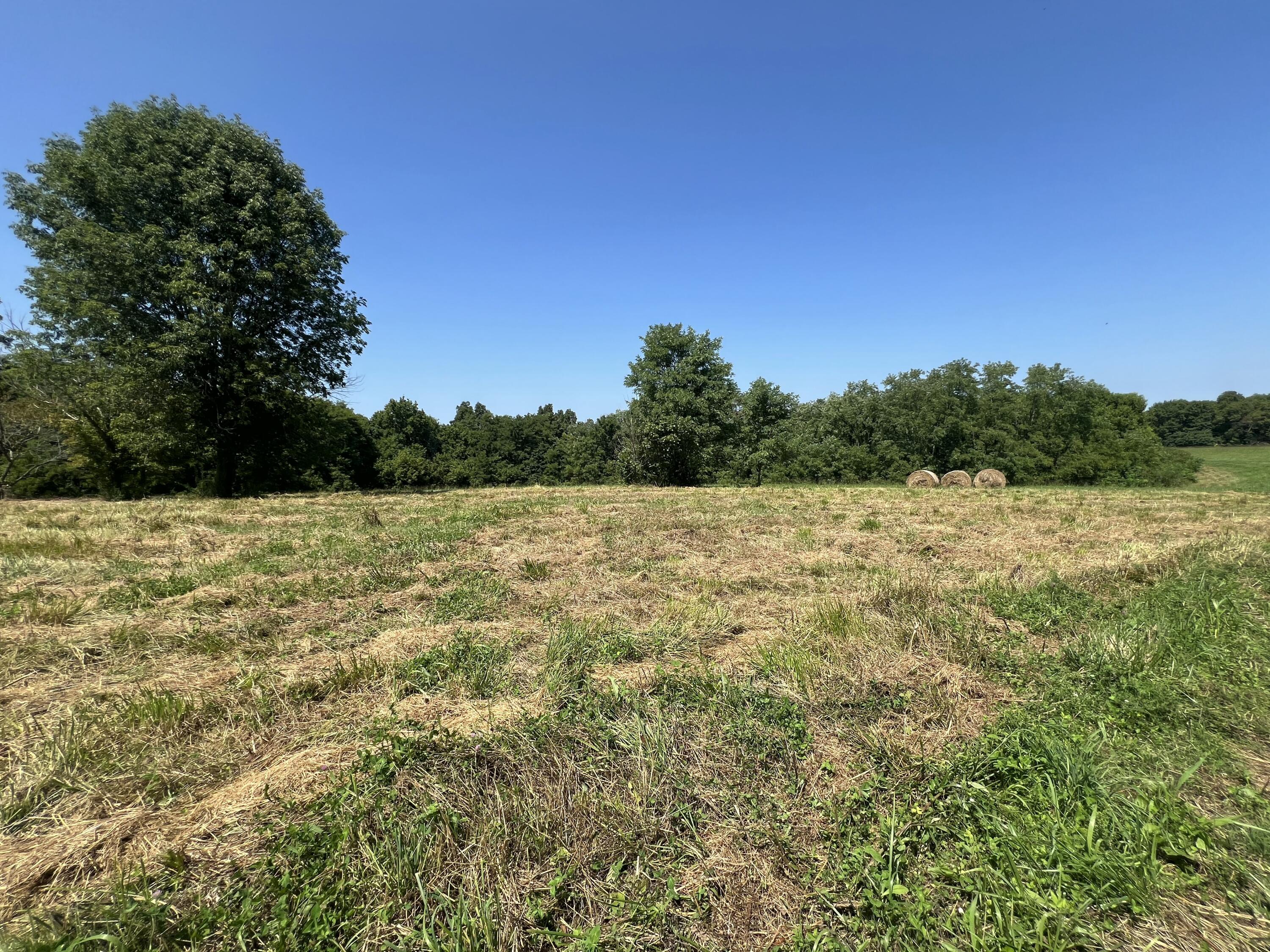 4095 Warsaw Road Dry Ridge, KY 41035 - Photo 40 of 48