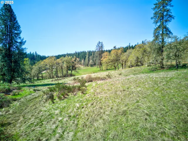 $250,000 | 2119 San Souci Drive, Roseburg, OR 97471