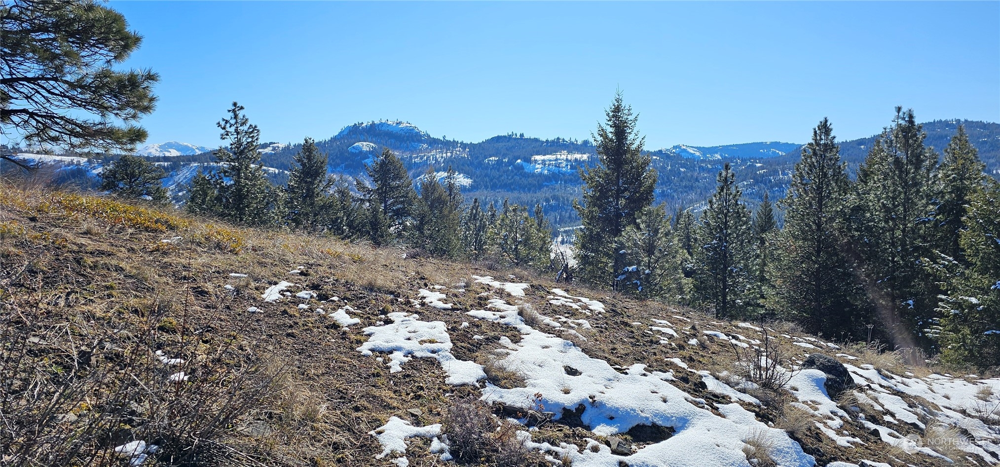 664 Lundimow Meadows Road Curlew, WA 99118 - Photo 1 of 40 Gallery Image 1