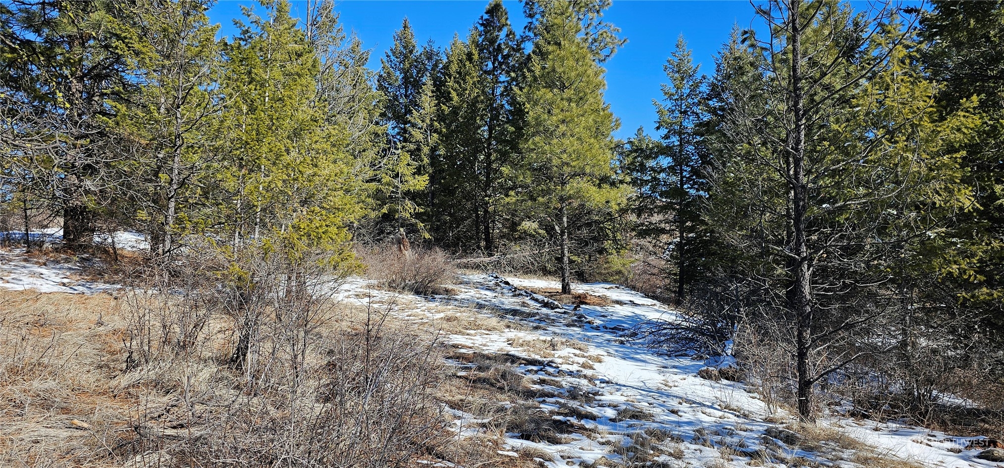 664 Lundimow Meadows Road Curlew, WA 99118 - Photo 11 of 40 Gallery Image 11