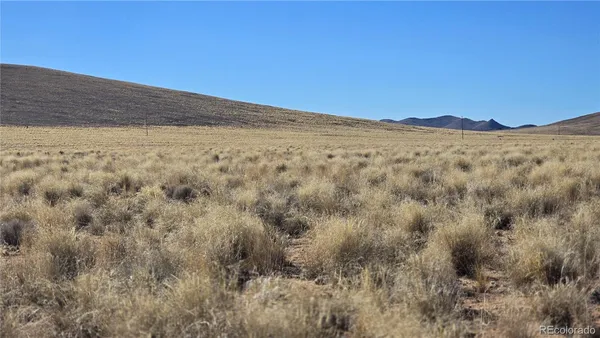 a view of a dry yard