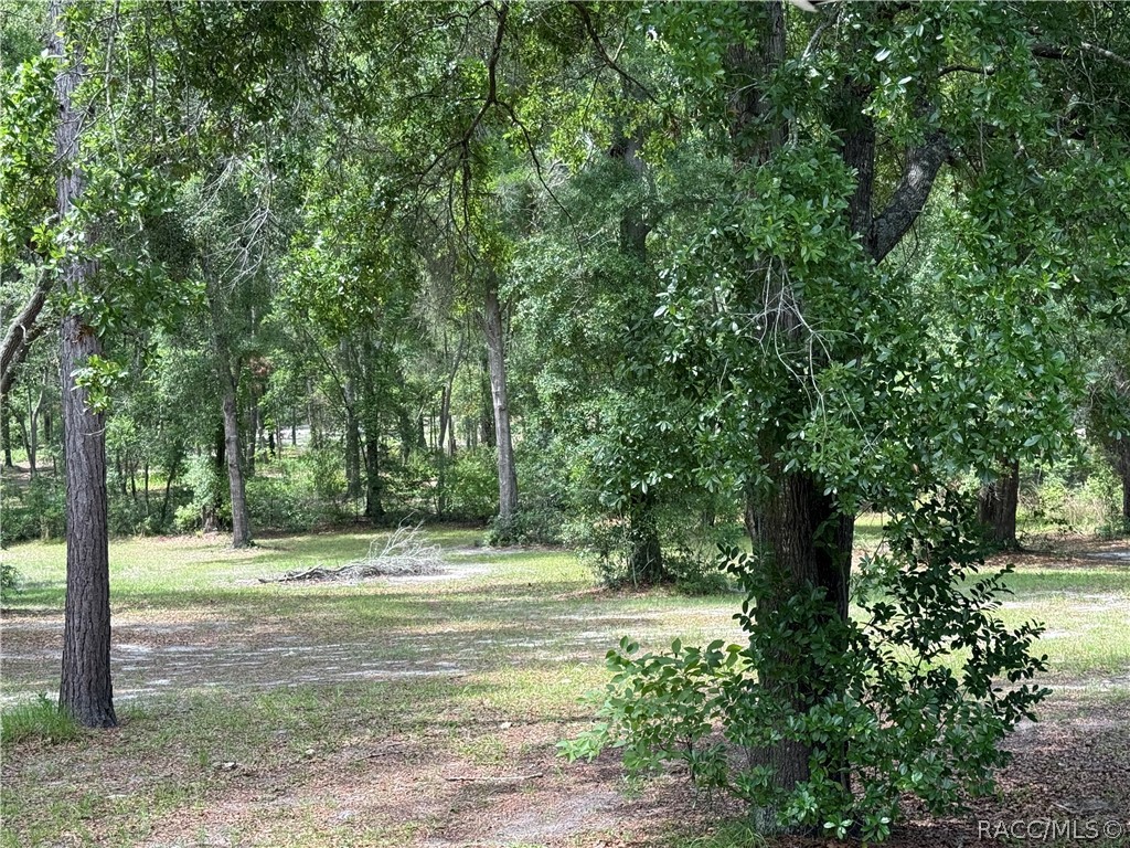 20275 33rd Road Wellborn, FL 32094 - Photo 2 of 57