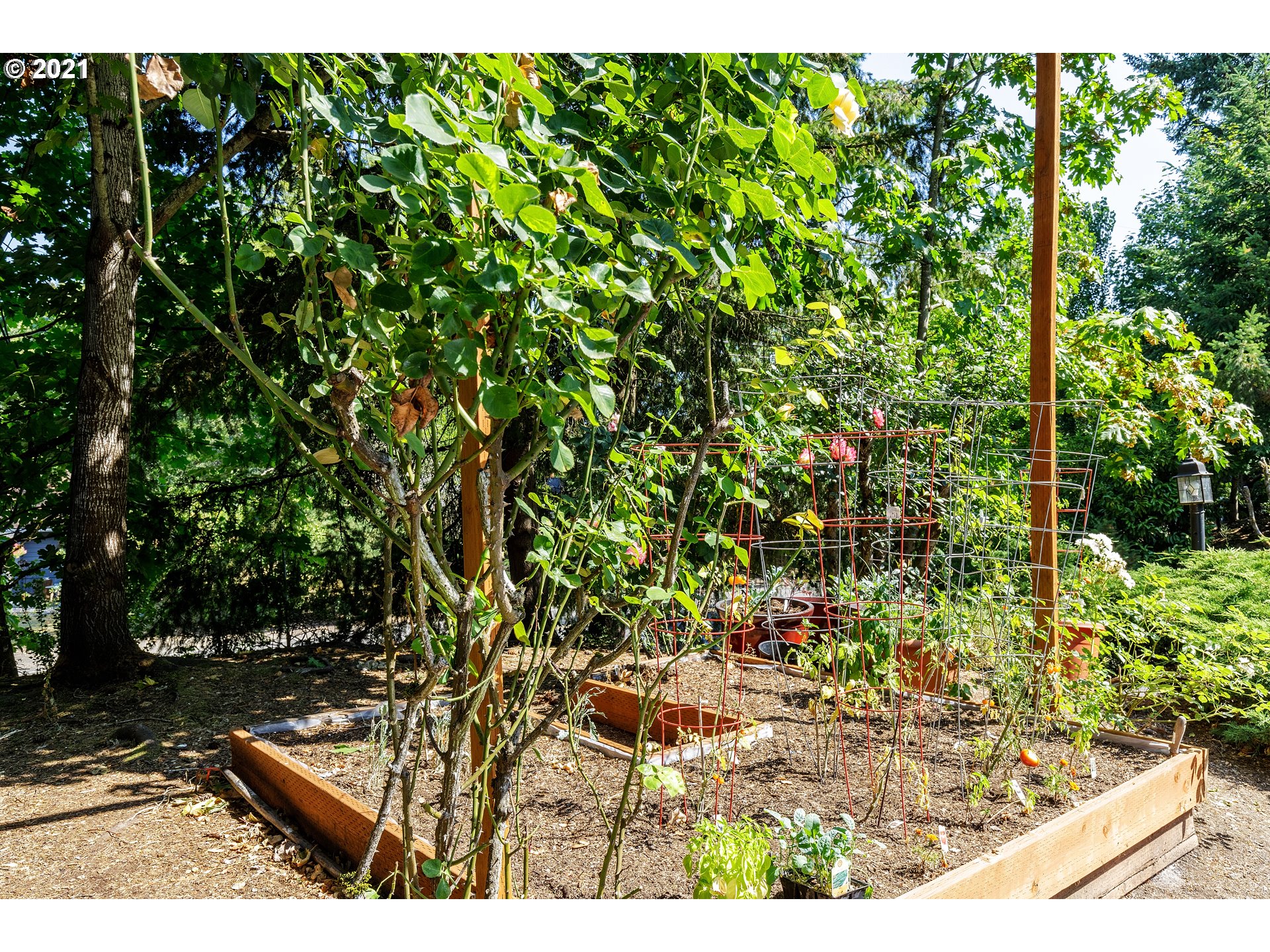 4226 Southwest Garden Home Road Portland, OR 97219 - Photo 18 of 24 Gallery Image 18