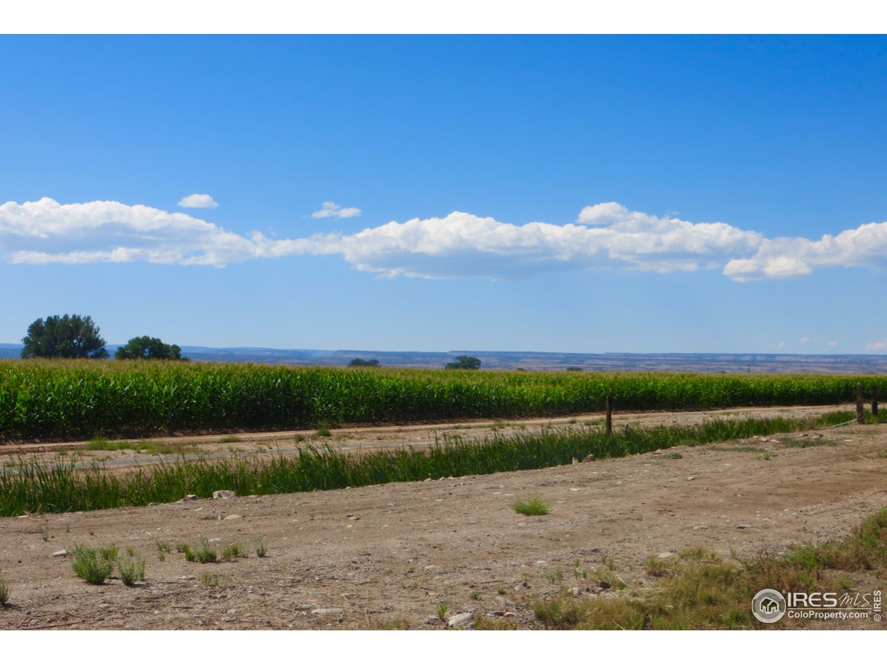 54654 Banner Road Olathe, CO 81425 - Photo 4 of 8 Gallery Image 4