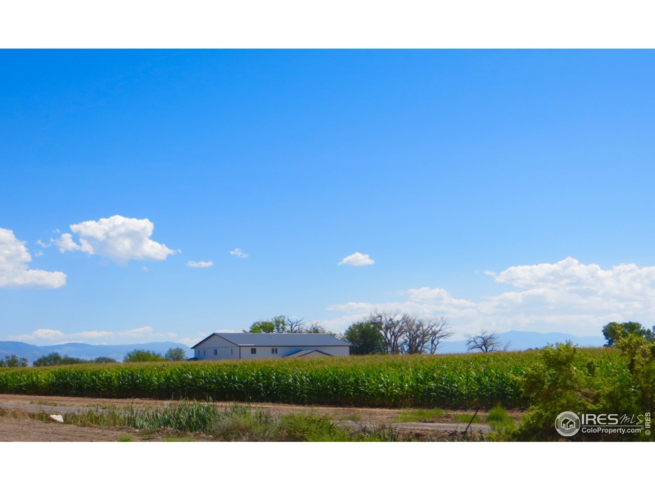 54654 Banner Road Olathe, CO 81425 - Photo 6 of 8 Gallery Image 6