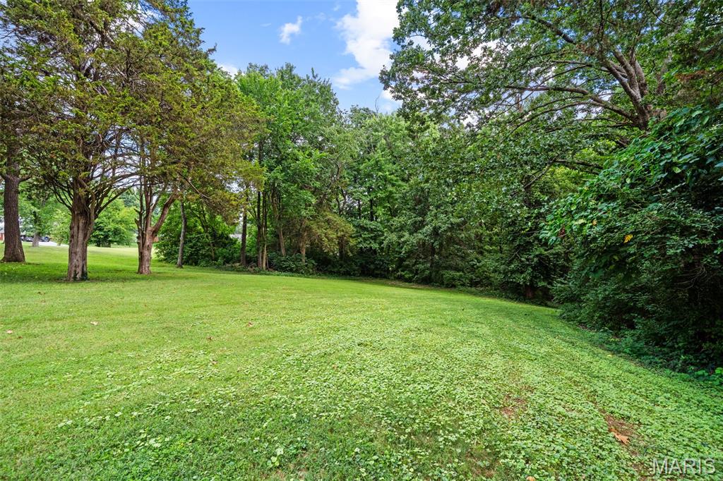 11412 Pounds Road Festus, MO 63028 - Photo 27 of 28