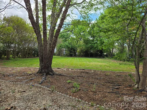 a view of a garden with a tree