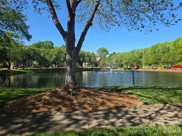 a view of lake