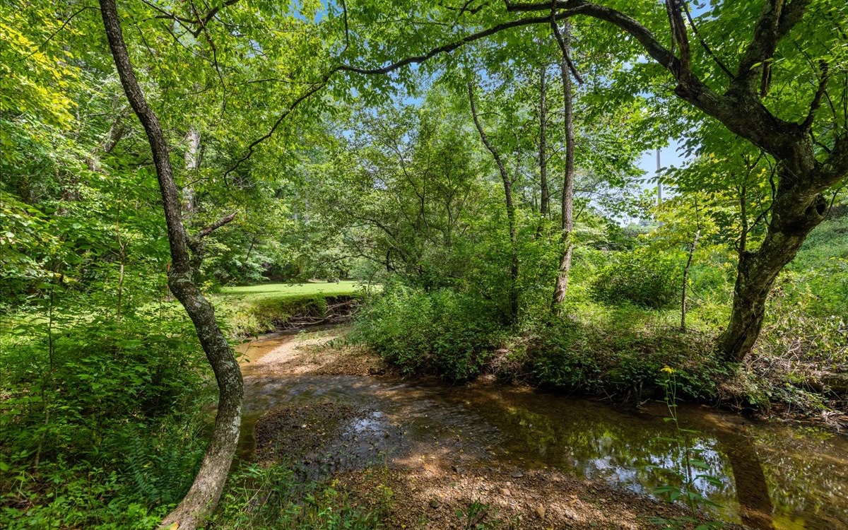 Pack Creek Road Blue Ridge, GA 30513 - Photo 1 of 13 Main View