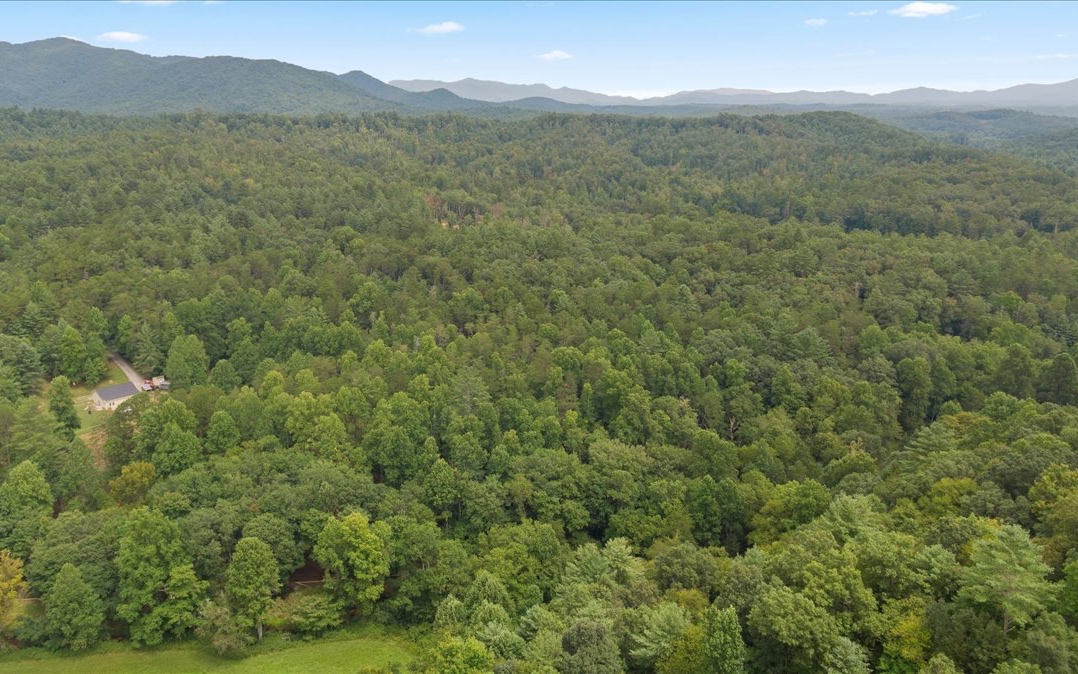 Pack Creek Road Blue Ridge, GA 30513 - Photo 3 of 13 Additional View