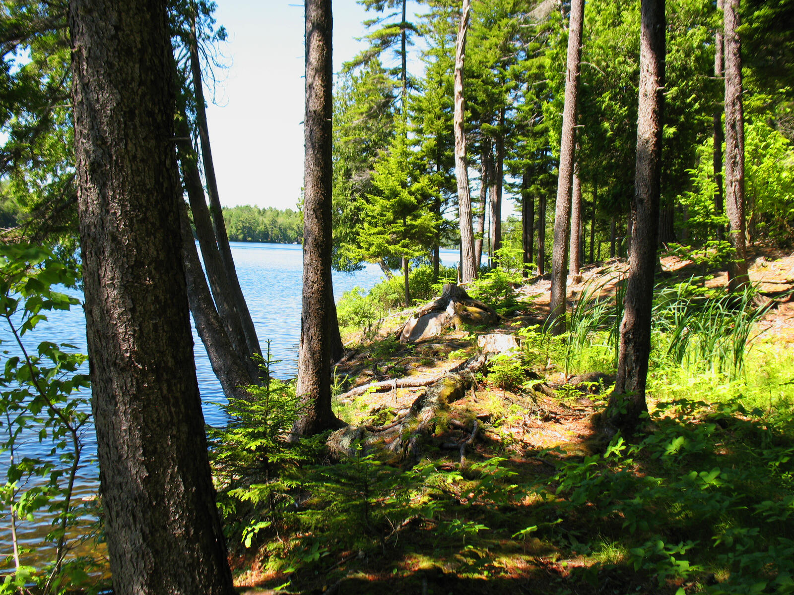 10-6 Vista Way Mount Desert, ME 04660 - Photo 11 of 14 RE vista way (6)
