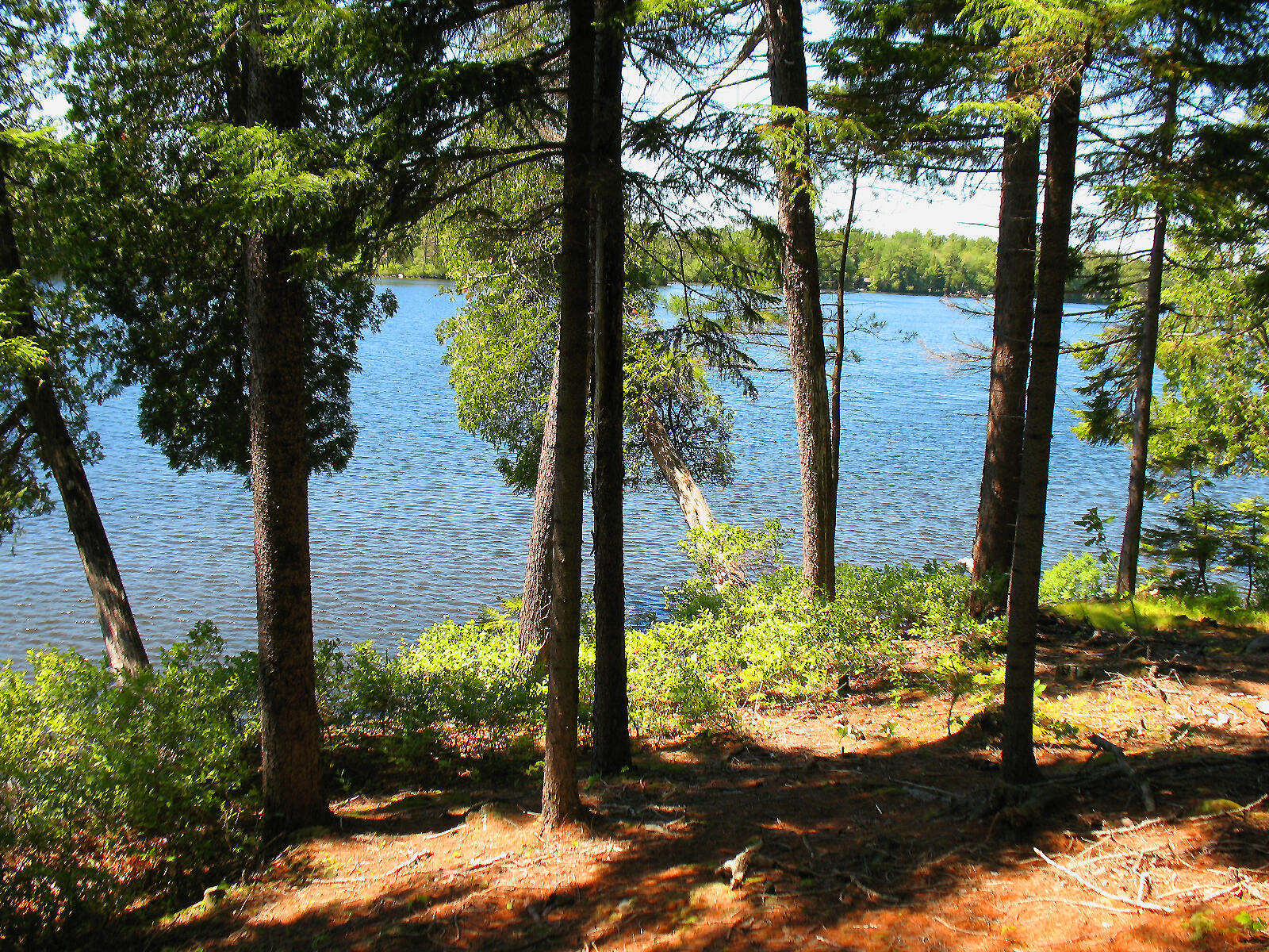 10-6 Vista Way Mount Desert, ME 04660 - Photo 12 of 14 RE vista way (8)
