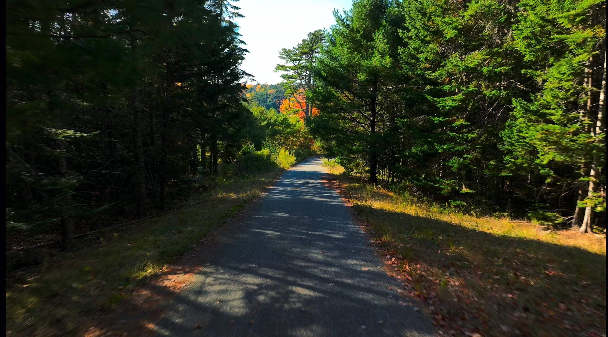 10-6 Vista Way Mount Desert, ME 04660 - Photo 5 of 14 IMG_6322