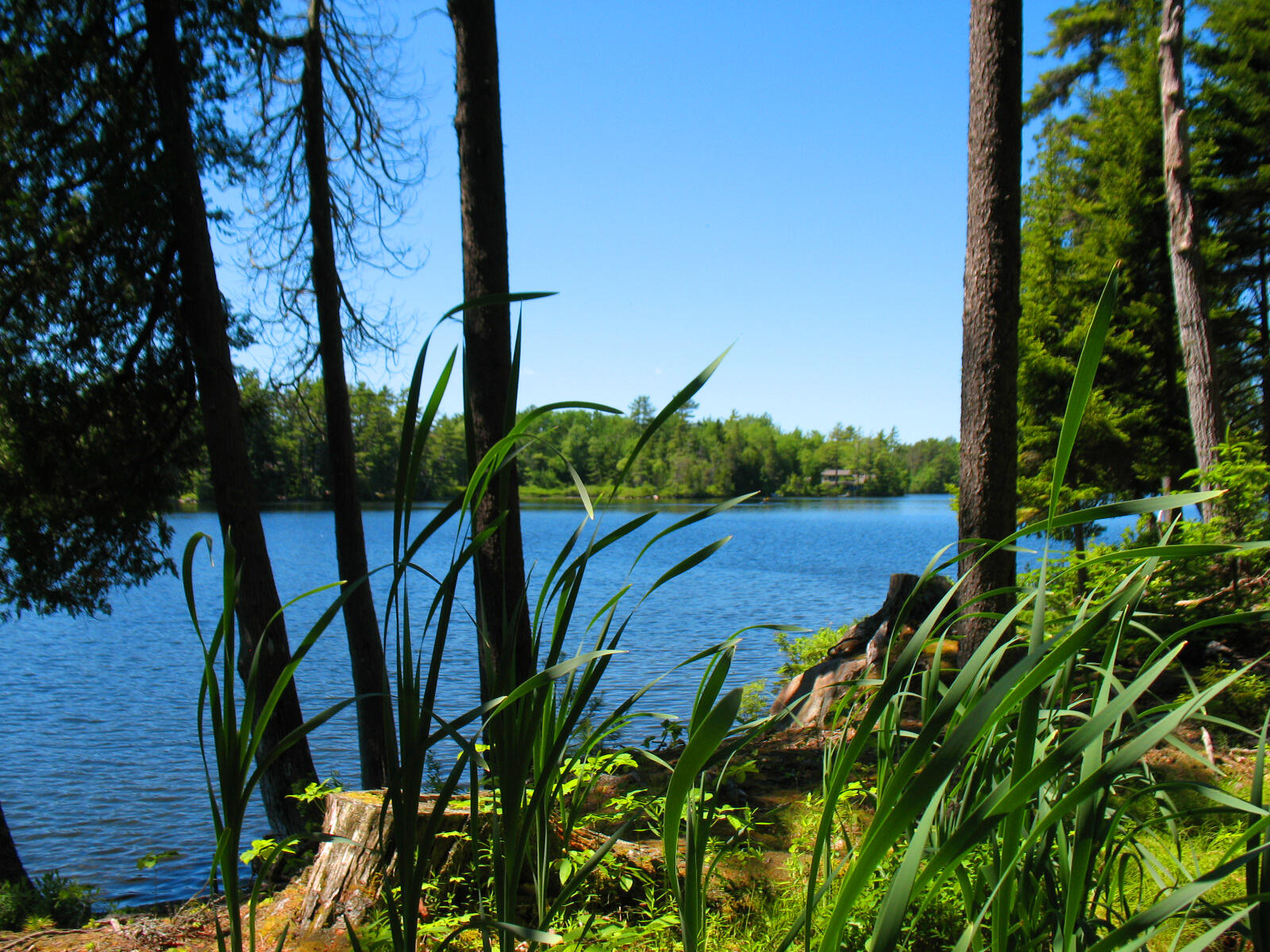 10-6 Vista Way Mount Desert, ME 04660 - Photo 10 of 14 RE vista way (5)