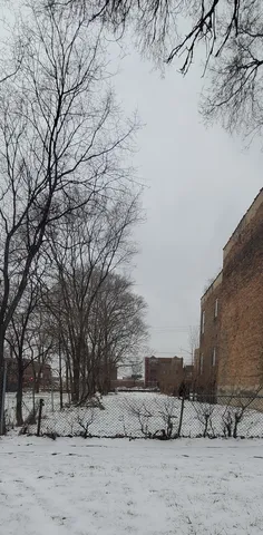 a view of outdoor space yard and green space