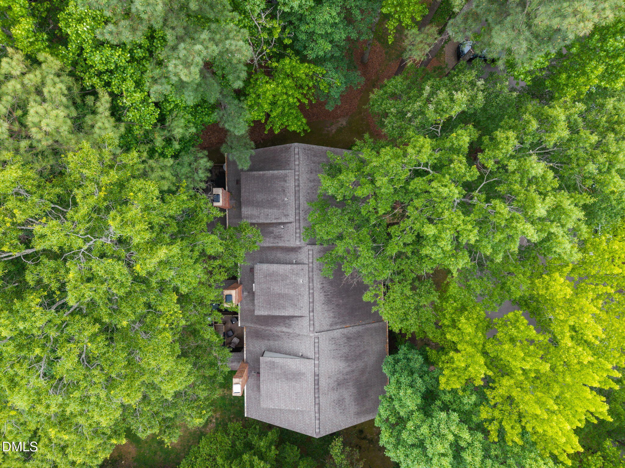 562 Weathergreen Drive Raleigh, NC 27615 - Photo 41 of 47 a view of a garden with plants