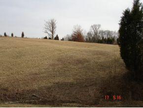 0 Township Line Road Dillsboro, IN 47011 - Photo 3 of 4