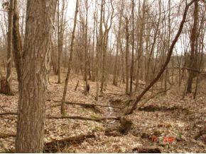 0 Township Line Road Dillsboro, IN 47011 - Photo 4 of 4