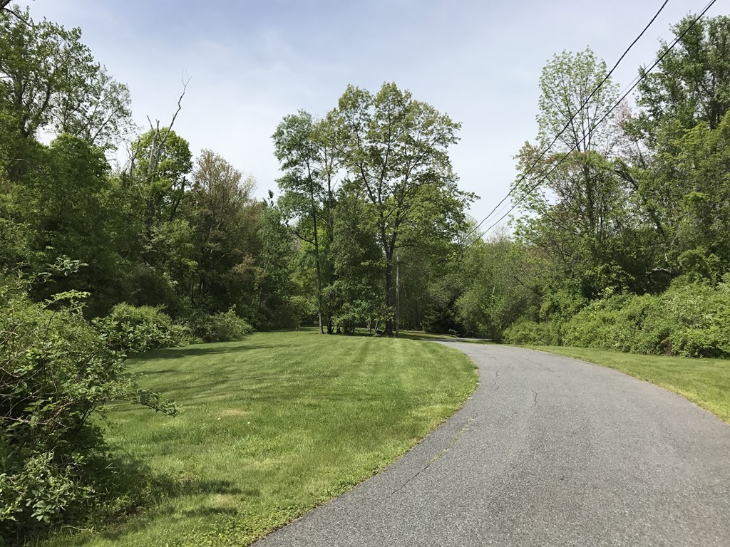 95 George Hill Road Grafton, MA 01519 - Photo 23 of 24 a view of a grassy area with trees