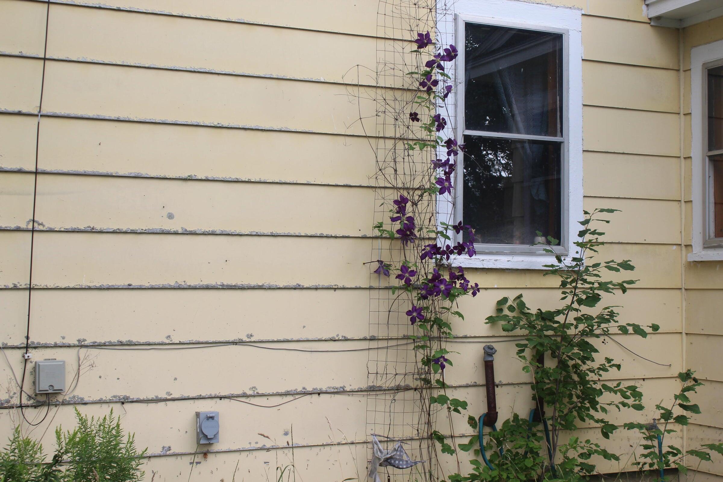 1004 Benedicta Road Benedicta, ME 04733 - Photo 11 of 13 flowers