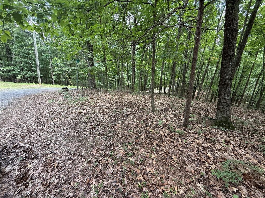 Lot 10 Mayfield Lane Ranger, GA 30734 - Photo 3 of 20 Gallery Image 3