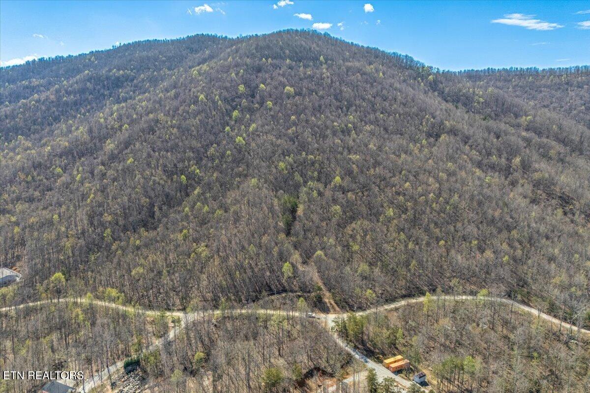 422 Crooked Branch Road Huntsville, TN 37756 - Photo 2 of 35 02-Lot Line A2
