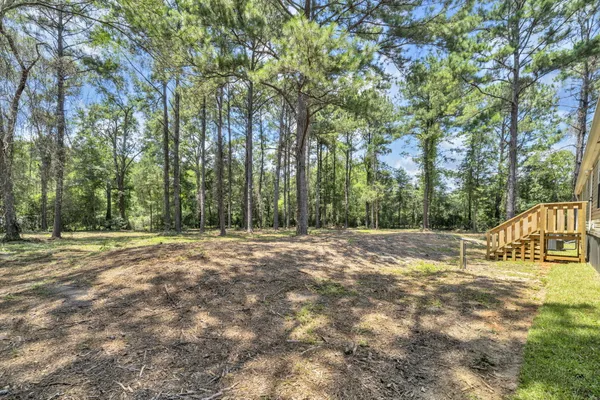 a view of a yard with large trees
