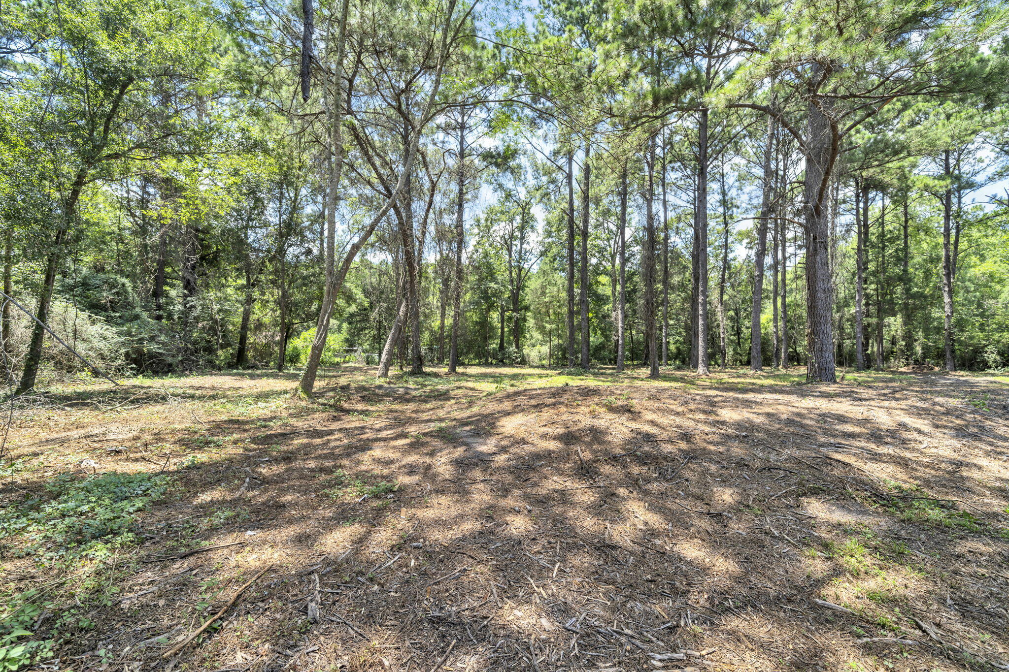 5216 Galiver Cutoff Baker, FL 32531 - Photo 17 of 51 a view of outdoor space with trees