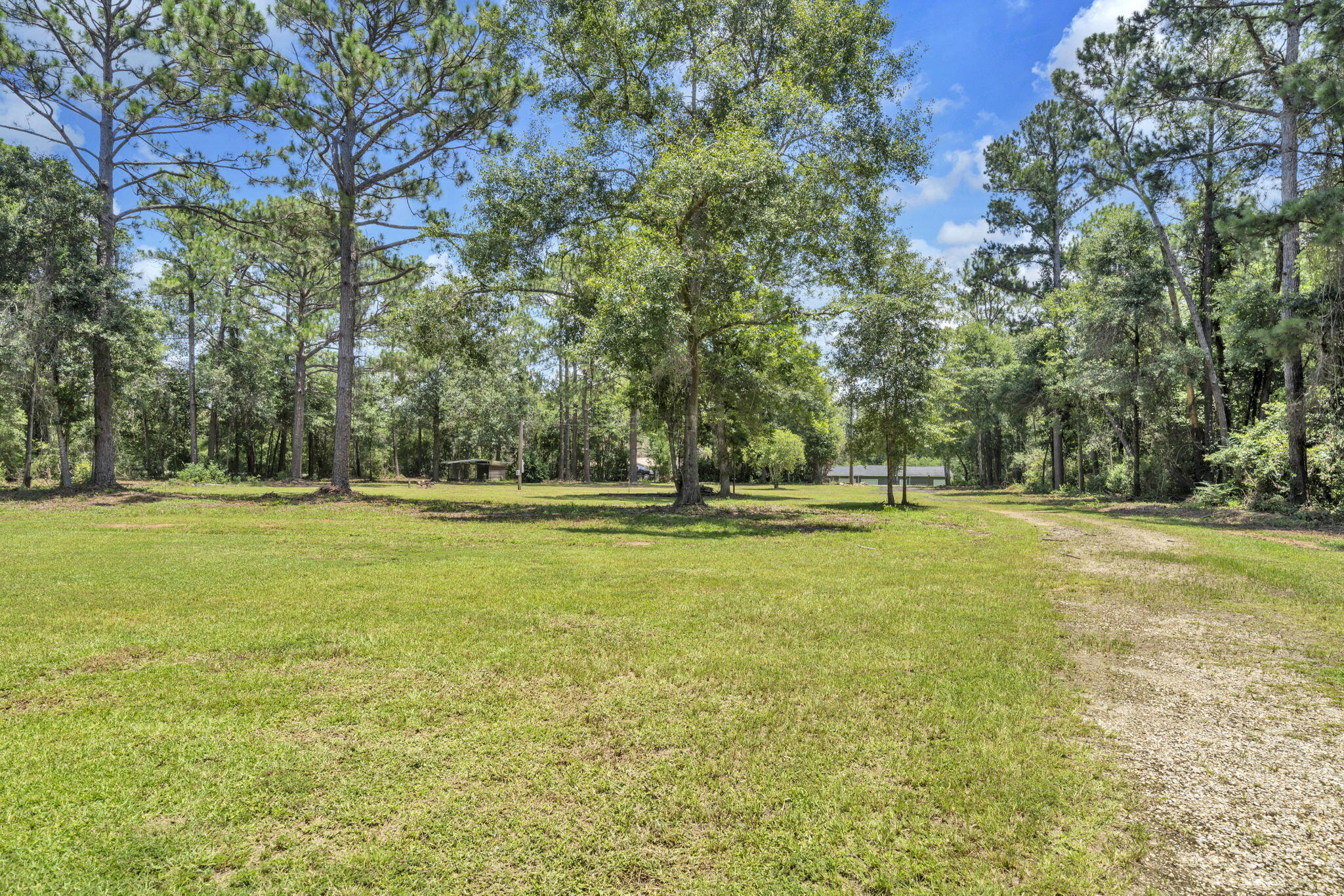 5216 Galiver Cutoff Baker, FL 32531 - Photo 4 of 51 a view of yard with trees