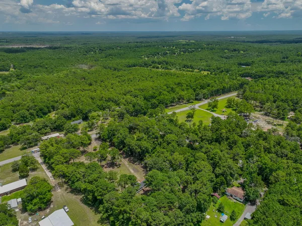 an aerial view of a garden with plants