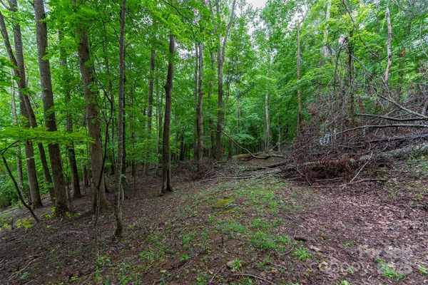 a view of outdoor space and green space