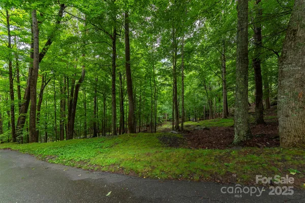 a view of outdoor space with green field and trees