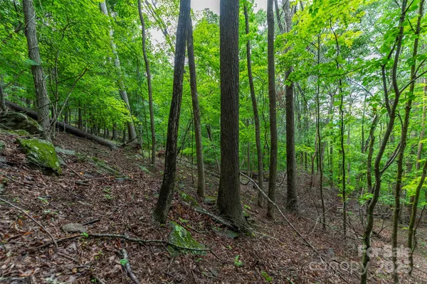 a view of outdoor space and green space