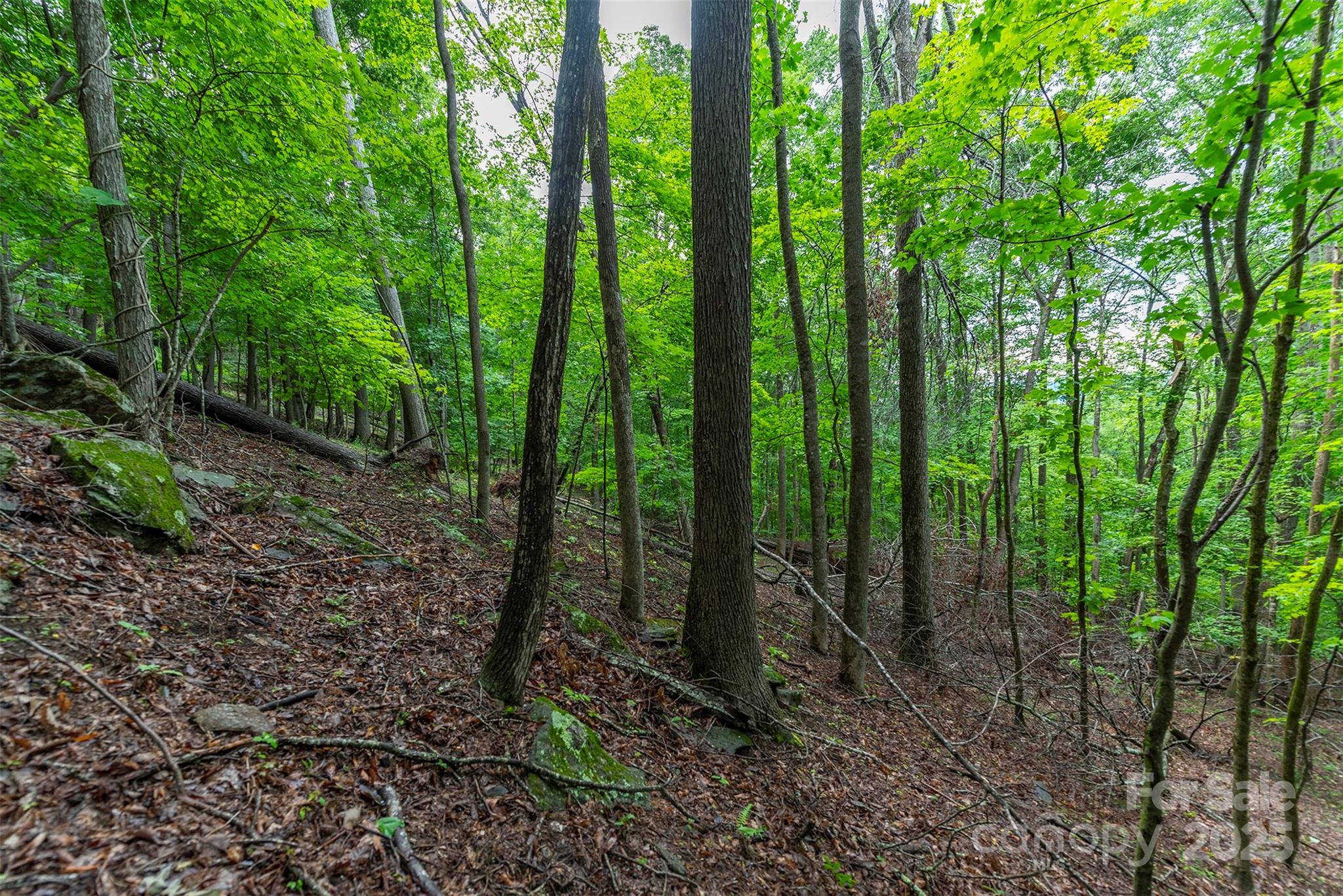 25 Hickory Springs Road, Unit 25 Burnsville, NC 28714 - Photo 8 of 24 a view of outdoor space and green space
