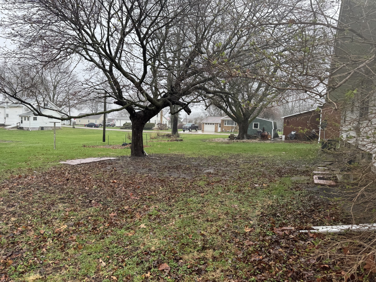 101 West High Street La Moille, IL 61330 - Photo 29 of 34 a view of a yard with a tree