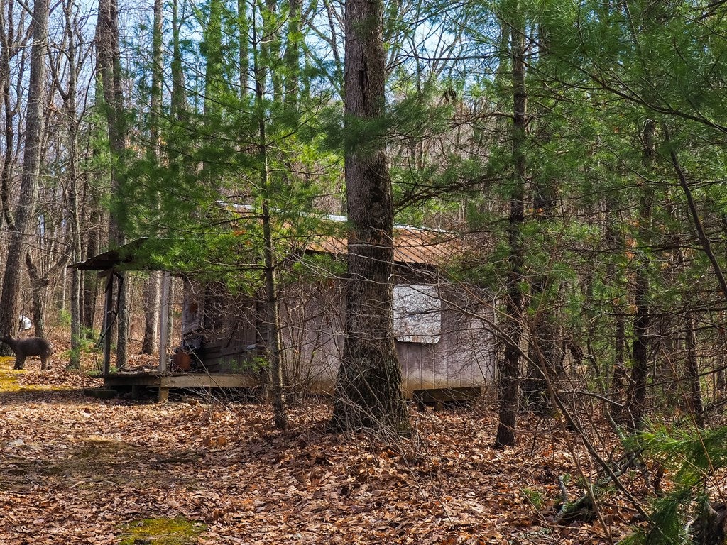 Tbd Carrollview Road, Unit 102 Fancy Gap, VA 24328 - Photo 7 of 9 Gallery Image 7