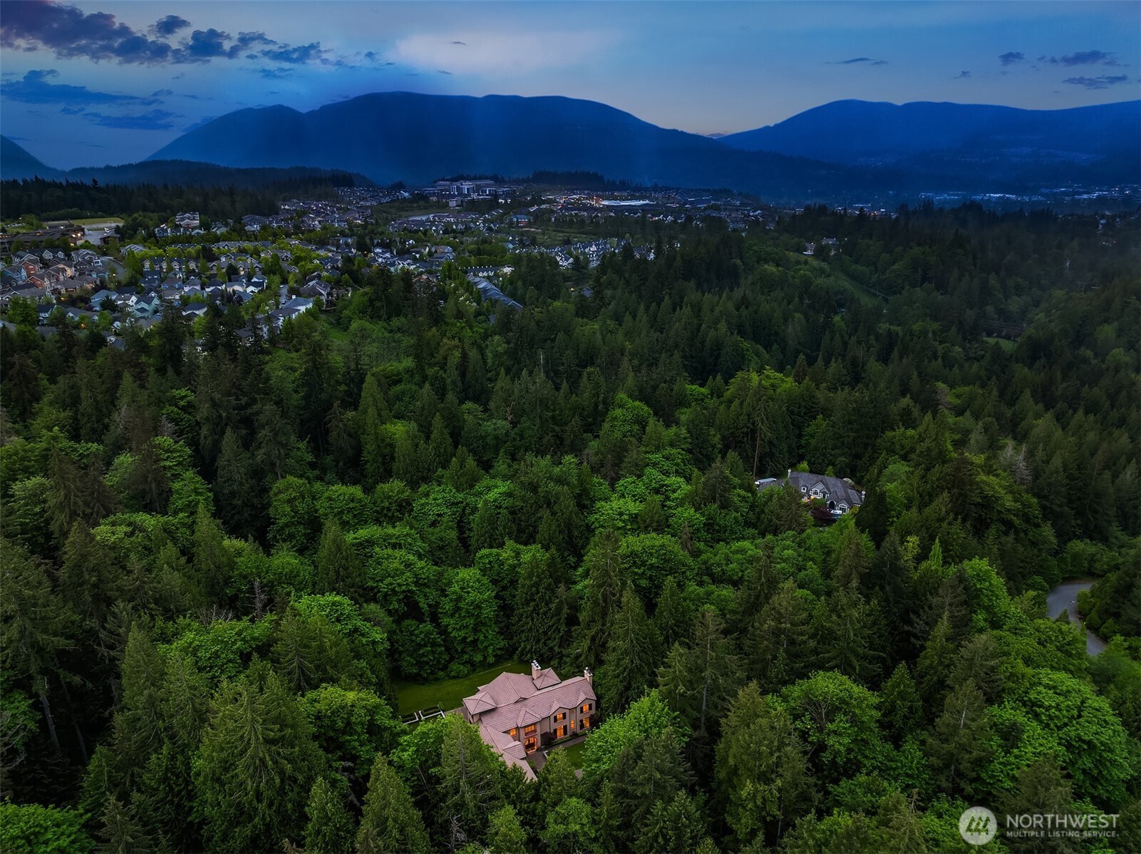 5565 248th Place Southeast Issaquah, WA 98029 - Photo 32 of 33 a view of a lush green forest with a forest
