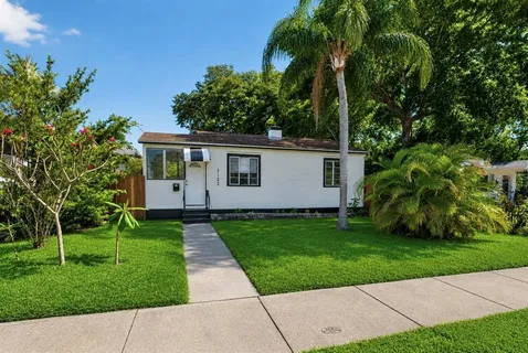 a view of a backyard with plants and a garden