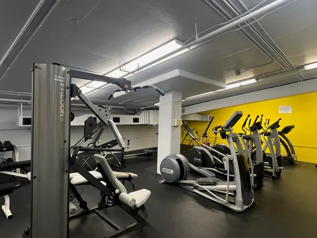 $3,100 | 221 East Cullerton Street, Unit 517, Chicago, IL 60616