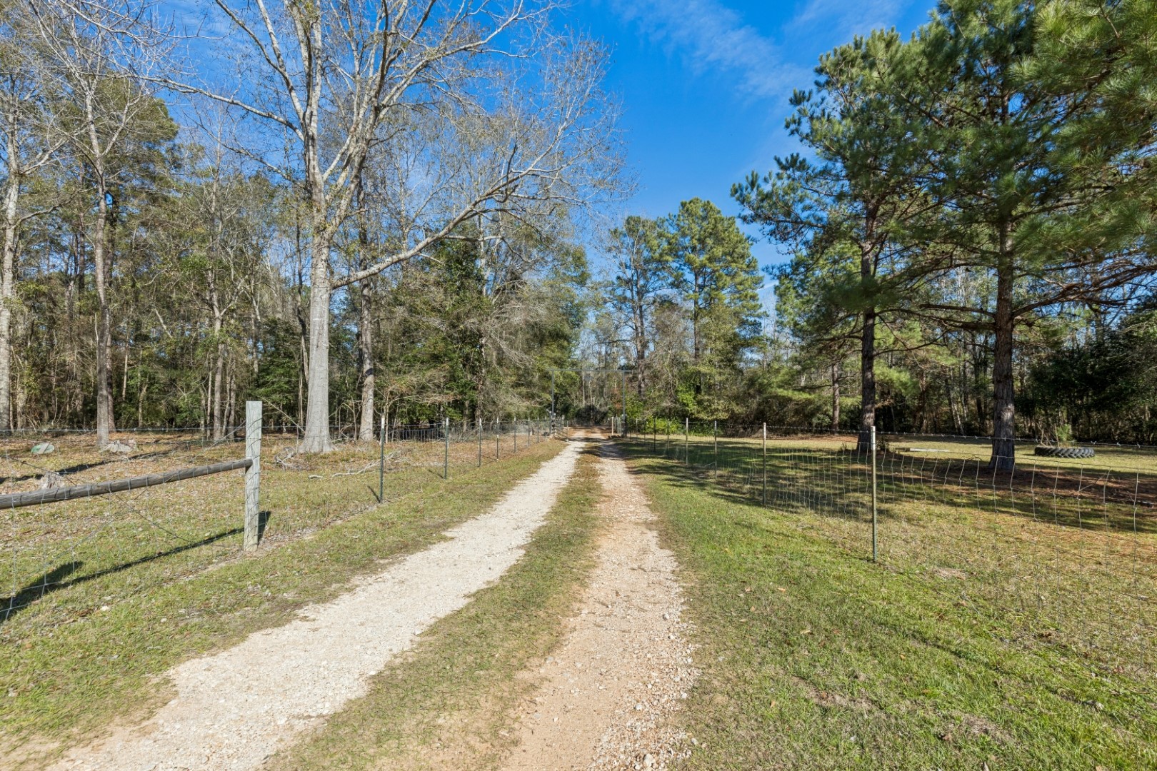 392 Robert E Lee Road Livingston, TX 77351 - Photo 38 of 43 a view of a yard with swimming pool
