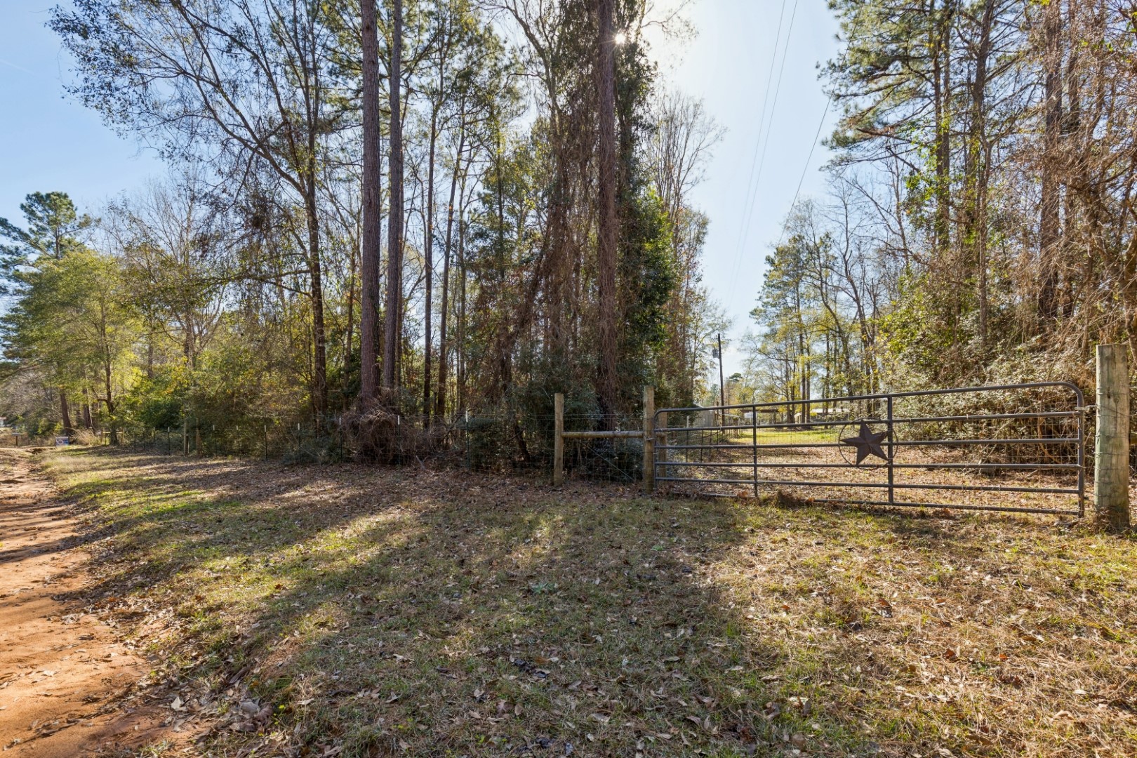 392 Robert E Lee Road Livingston, TX 77351 - Photo 39 of 43 a view of outdoor space with trees