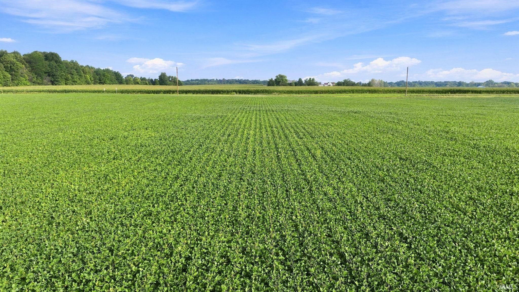 0 Lochner Road Leo, IN 46765 - Photo 14 of 15 Gallery Image 14