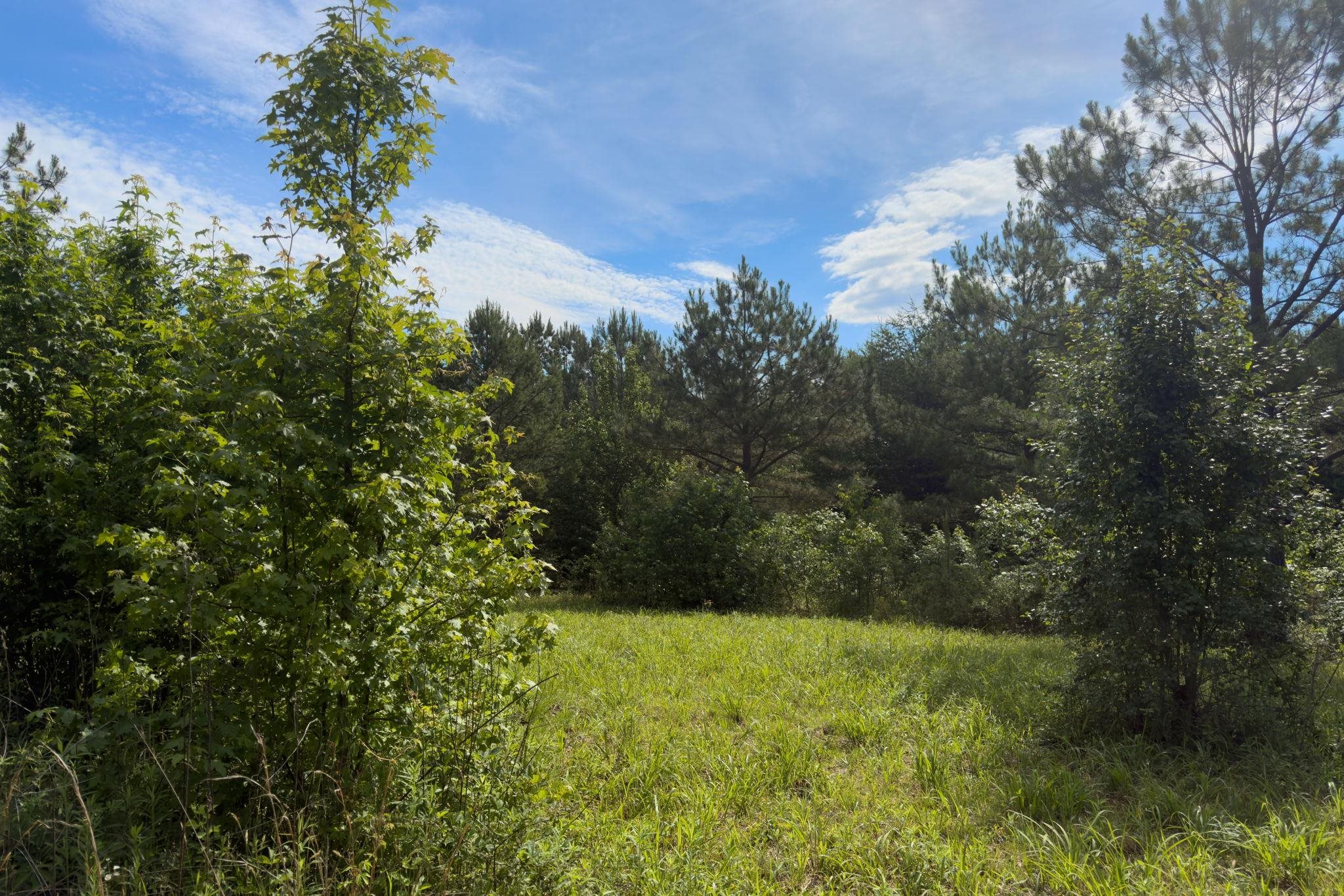 Tbd Melvin Hill Road Campobello, SC 29322 - Photo 9 of 29