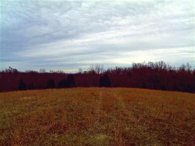 1965 Saltwell Road Carlisle, KY 40311 - Photo 12 of 12 One of the highest knolls here, this one